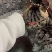 ヒメ日記 2026/01/31 21:52 投稿 あい sweet kiss