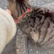 ヒメ日記 2026/02/01 16:59 投稿 あい sweet kiss