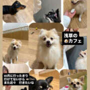 ヒメ日記 2026/02/02 12:39 投稿 あい sweet kiss