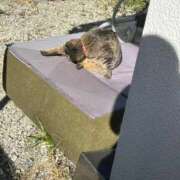 ヒメ日記 2026/02/02 21:59 投稿 あい sweet kiss