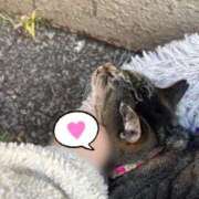 ヒメ日記 2026/02/09 14:59 投稿 あい sweet kiss