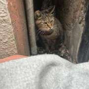 ヒメ日記 2026/02/11 14:59 投稿 あい sweet kiss