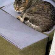 ヒメ日記 2026/02/18 20:50 投稿 あい sweet kiss