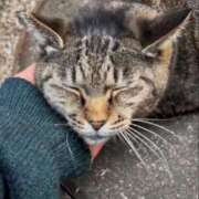 ヒメ日記 2026/02/20 23:29 投稿 あい sweet kiss