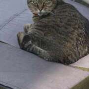 ヒメ日記 2026/02/22 14:59 投稿 あい sweet kiss