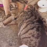 ヒメ日記 2026/02/24 11:37 投稿 あい sweet kiss