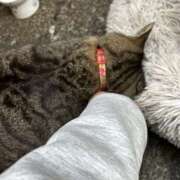 ヒメ日記 2026/02/25 03:12 投稿 あい sweet kiss