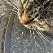 ヒメ日記 2026/02/26 10:19 投稿 あい sweet kiss