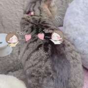 ヒメ日記 2026/02/28 17:00 投稿 あい sweet kiss