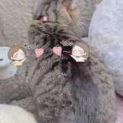 ヒメ日記 2026/02/28 17:19 投稿 あい sweet kiss