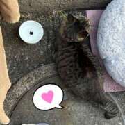 ヒメ日記 2026/03/01 20:32 投稿 あい sweet kiss