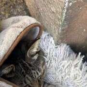 ヒメ日記 2026/03/03 09:59 投稿 あい sweet kiss