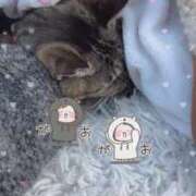 ヒメ日記 2026/03/04 18:49 投稿 あい sweet kiss