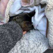 ヒメ日記 2026/03/05 00:28 投稿 あい sweet kiss