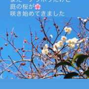 ヒメ日記 2026/03/07 08:30 投稿 あい sweet kiss