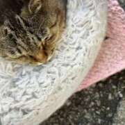 ヒメ日記 2026/03/08 16:50 投稿 あい sweet kiss