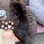 ヒメ日記 2026/03/10 00:19 投稿 あい sweet kiss