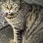 ヒメ日記 2026/03/12 21:40 投稿 あい sweet kiss