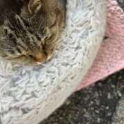 ヒメ日記 2026/03/16 20:49 投稿 あい sweet kiss