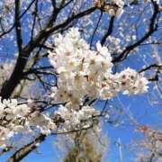 ヒメ日記 2026/03/16 21:09 投稿 あい sweet kiss