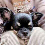 ヒメ日記 2026/03/17 23:09 投稿 あい sweet kiss