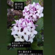 ヒメ日記 2026/03/20 20:14 投稿 あい sweet kiss