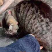 ヒメ日記 2026/03/20 20:49 投稿 あい sweet kiss