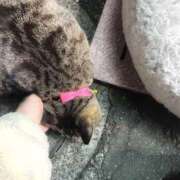 ヒメ日記 2026/03/23 10:17 投稿 あい sweet kiss