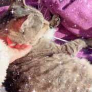 ヒメ日記 2026/03/23 16:29 投稿 あい sweet kiss