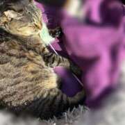 ヒメ日記 2026/03/24 04:05 投稿 あい sweet kiss