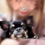 ヒメ日記 2026/03/25 09:29 投稿 あい sweet kiss