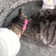 ヒメ日記 2026/03/28 21:09 投稿 あい sweet kiss