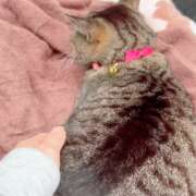 ヒメ日記 2026/03/30 10:26 投稿 あい sweet kiss