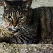 ヒメ日記 2026/04/01 09:31 投稿 あい sweet kiss