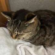 ヒメ日記 2026/04/01 15:29 投稿 あい sweet kiss