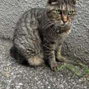 ヒメ日記 2026/04/01 22:52 投稿 あい sweet kiss