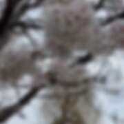 ヒメ日記 2026/04/02 21:19 投稿 あい sweet kiss