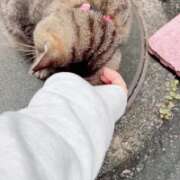 ヒメ日記 2026/04/04 13:21 投稿 あい sweet kiss