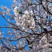 ヒメ日記 2026/04/05 15:29 投稿 あい sweet kiss