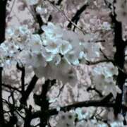 ヒメ日記 2026/04/05 19:42 投稿 あい sweet kiss