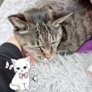 ヒメ日記 2026/04/06 15:29 投稿 あい sweet kiss