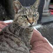 ヒメ日記 2026/04/10 12:59 投稿 あい sweet kiss