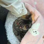 ヒメ日記 2026/04/11 16:59 投稿 あい sweet kiss