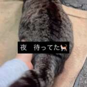 ヒメ日記 2026/04/19 03:32 投稿 あい sweet kiss