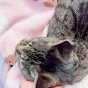 ヒメ日記 2026/04/19 16:27 投稿 あい sweet kiss