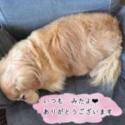 ヒメ日記 2026/04/20 06:09 投稿 あい sweet kiss