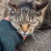 ヒメ日記 2026/04/22 07:19 投稿 あい sweet kiss