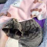 ヒメ日記 2026/04/23 03:59 投稿 あい sweet kiss