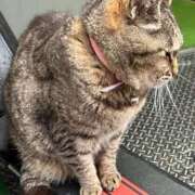 ヒメ日記 2026/04/23 21:29 投稿 あい sweet kiss