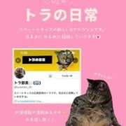 ヒメ日記 2026/04/24 10:49 投稿 あい sweet kiss